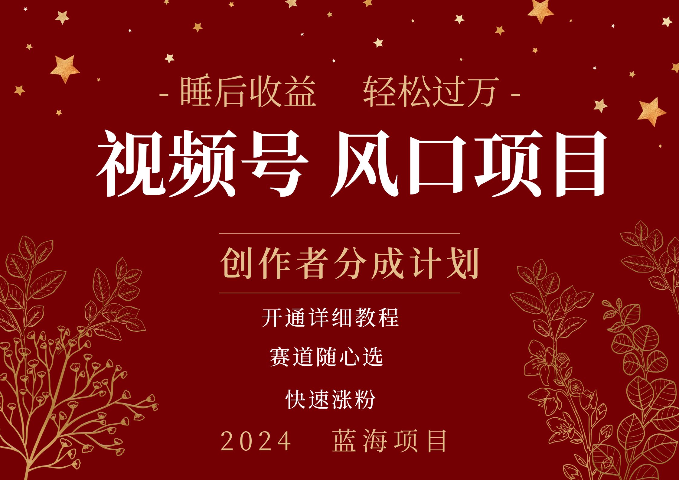 拥有睡眠收益的微信视频号大风口项目，轻松月入过万+，多赛道选择，可矩阵，玩法简单轻松上手-盈途副业网