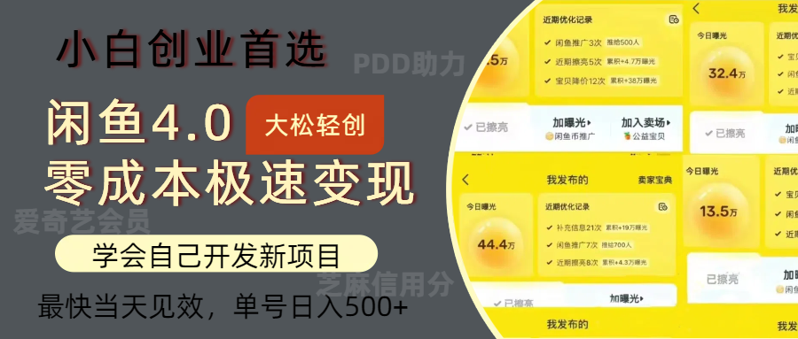 闲鱼0成本极速变现项目，多种变现方式，单号日入500+最新玩法-盈途副业网