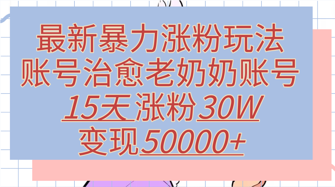 最新暴力涨粉玩法，治愈老奶奶账号，15天涨粉30W，变现50000+【揭秘】-盈途副业网