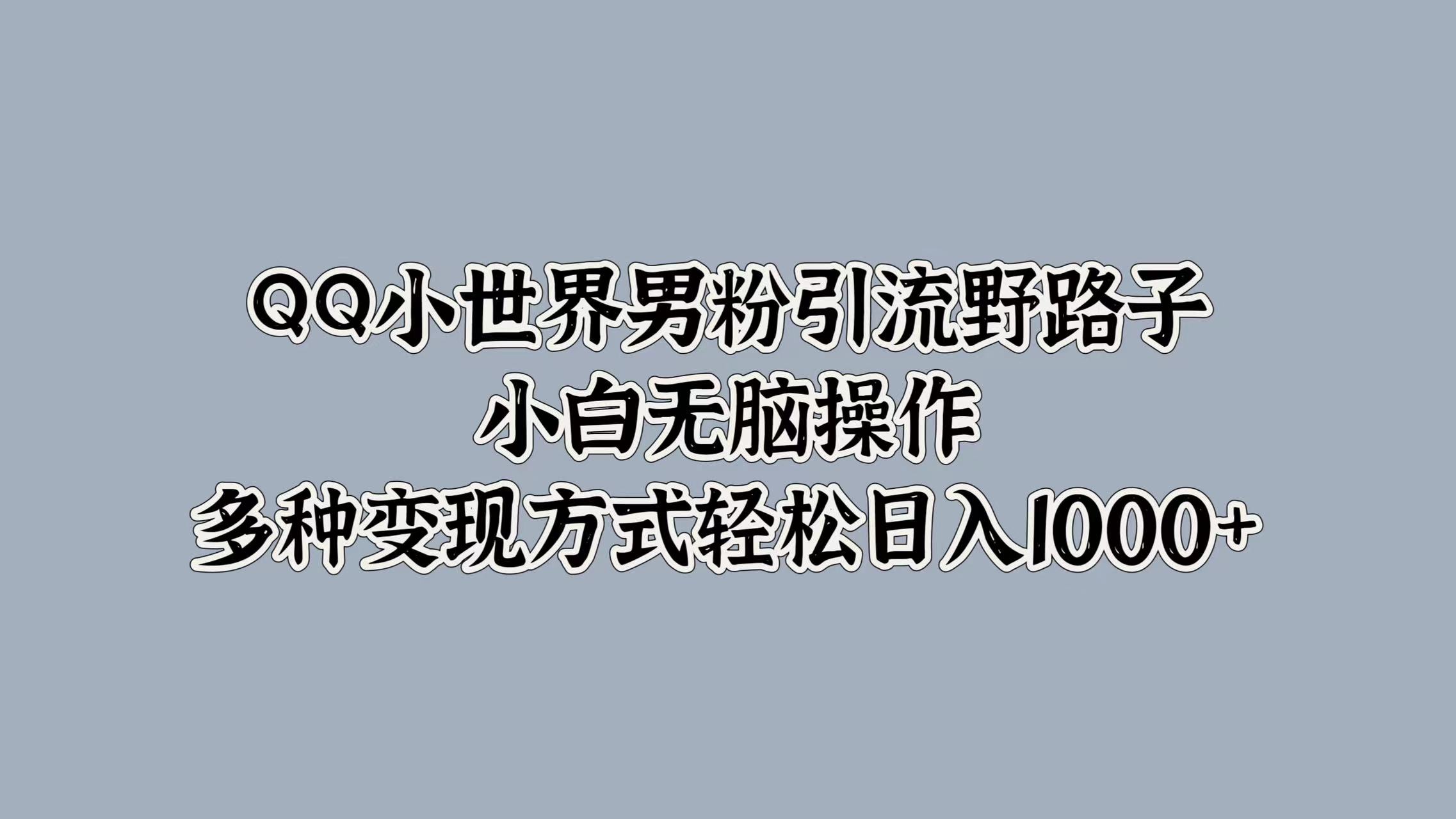 QQ小世界男粉引流野路子，小白无脑操作，多种变现方式轻松日入1000+-盈途副业网