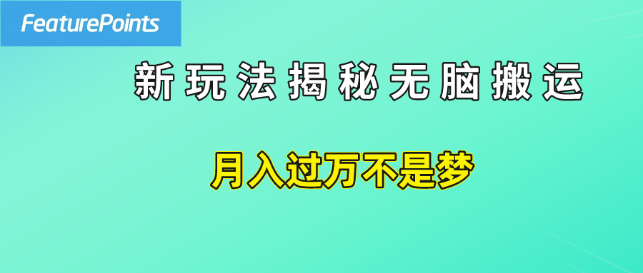 简单操作，每天50美元收入，搬运就是赚钱的秘诀！-盈途副业网