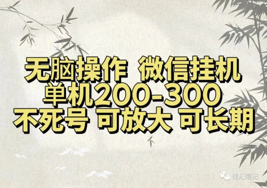 无脑操作微信视频号挂机单机200-300一天，不死号，可放大，工作室实测-盈途副业网