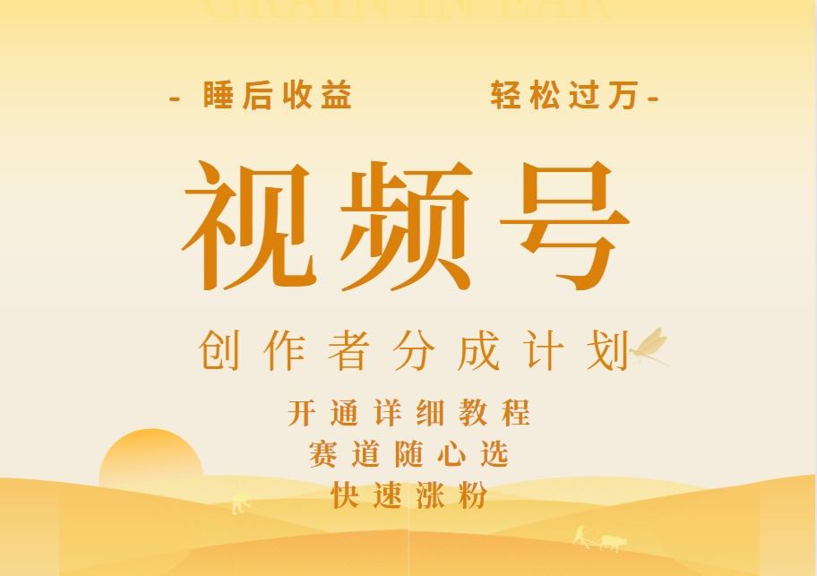 详解视频号创作者分成计划，暴力起号，可同步多平台，实现睡后收入2W+，看懂即可操作！-盈途副业网