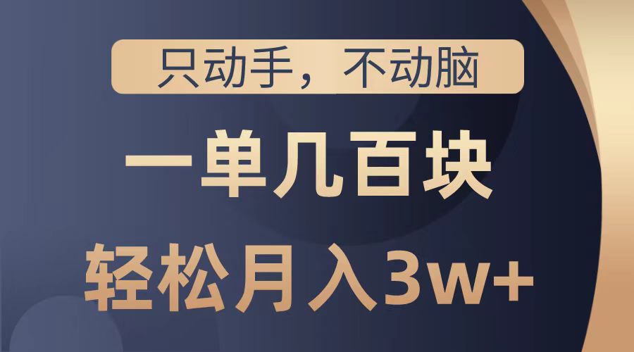 只动手不动脑，一单几百块，轻松月入2w+，看完就能直接操作，详细教程-盈途副业网