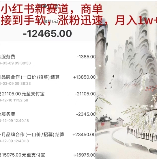 小红书新赛道，商单接到手软，涨粉迅速，一个月1w+-盈途副业网