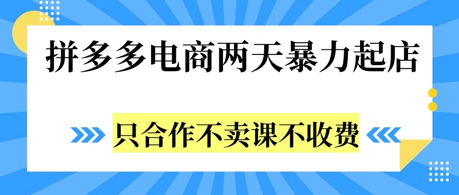 拼多多两天暴力起店，只合作不卖课不收费-盈途副业网