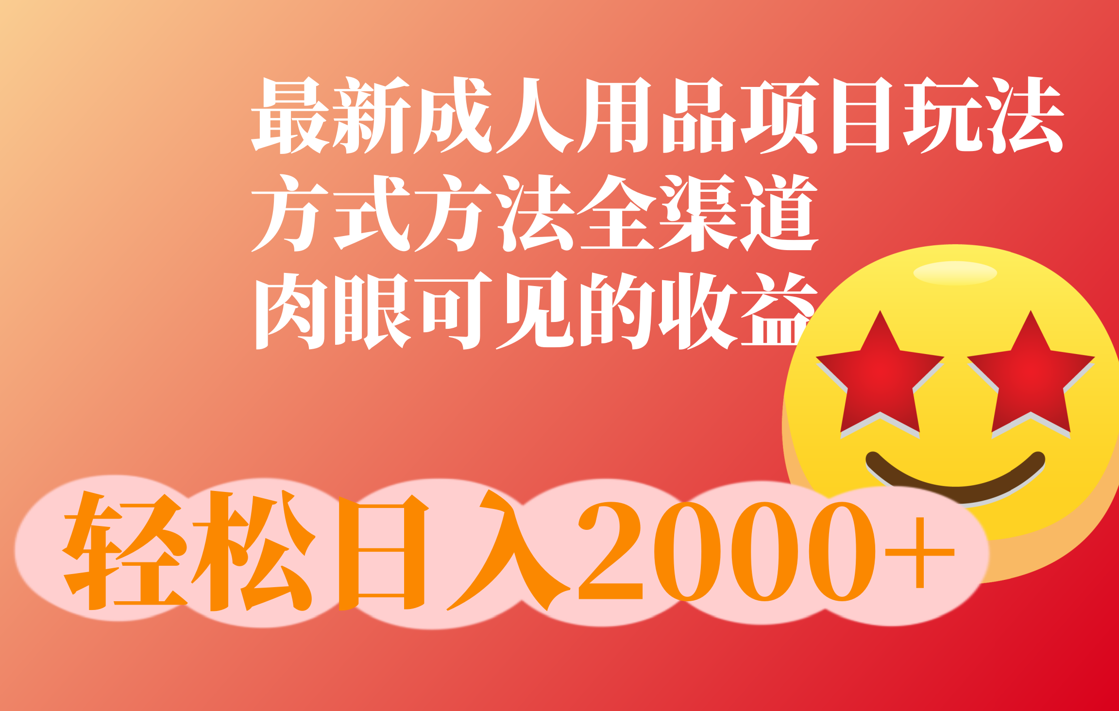 成人用品项目最新玩法，方式方法全渠道-盈途副业网