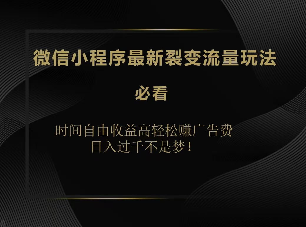 微信小程序最新裂变流量玩法，时间自由收益高轻松赚广告费，日入200-500+-盈途副业网