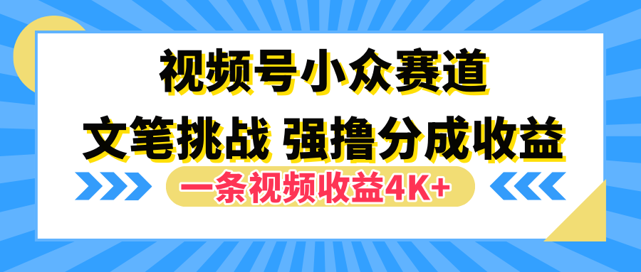 视频号小众赛道，文笔挑战，一条视频收益4K+-盈途副业网