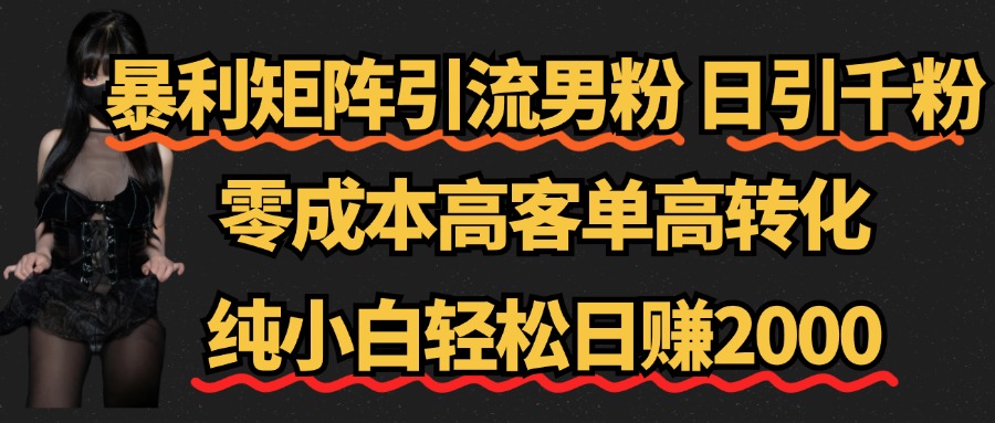 暴利矩阵引流男粉（日引千粉），零成本高客单高转化，纯小白轻松日赚2000+-盈途副业网