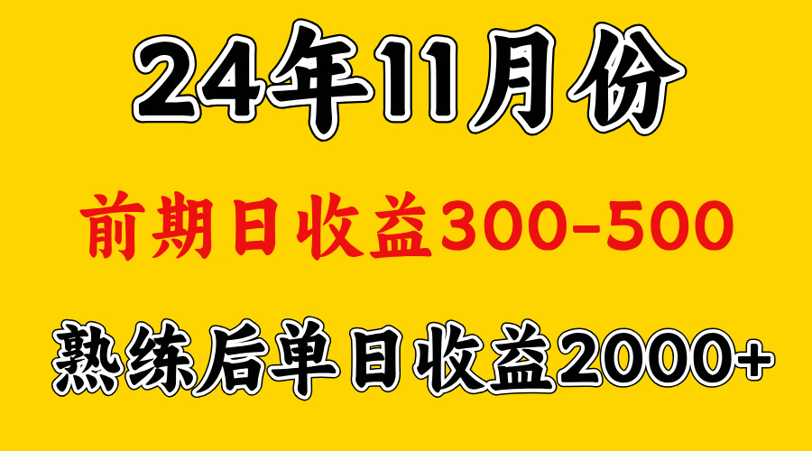 轻资产项目，前期日收益500左右，后期日收益1500-2000左右，多劳多得-盈途副业网