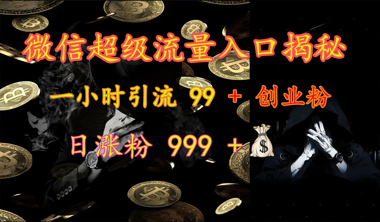 微信超级流量入口揭秘：一小时引流 99 + 创业粉，日涨粉 999 +【揭秘】-盈途副业网