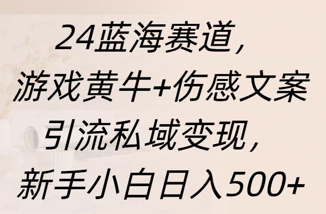 24蓝海赛道，游戏黄牛+伤感文案引流私域变现，新手日入500+-盈途副业网