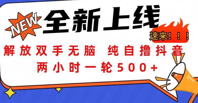 解放双手无脑 纯自撸抖音 两小时一轮500+-盈途副业网