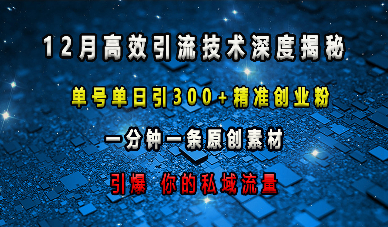12月高效引流技术深度揭秘 ，单号单日引300+精准创业粉，一分钟一条原创素材，引爆你的私域流量-盈途副业网