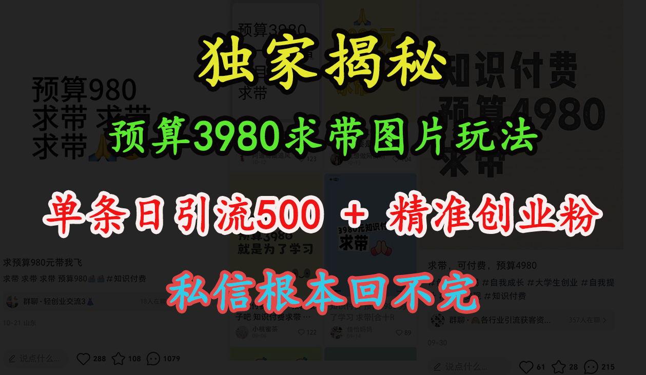 “小红书”预算3980求带 图片玩法，单条日引流500+精准创业粉，私信根本回不完-盈途副业网