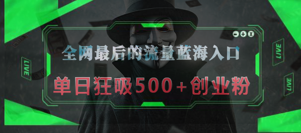 全网最后的流量蓝海入口，半小时引流50+创业粉，单日狂吸500+创业粉-盈途副业网