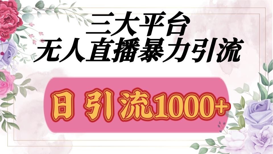 抖音，快手，视频号全平台通用，无人直播引流法，利用图片,模板,整套话术挂机全天支持矩阵操作，无限设备多开，超暴力引流，1000+高质量精准创业粉-盈途副业网