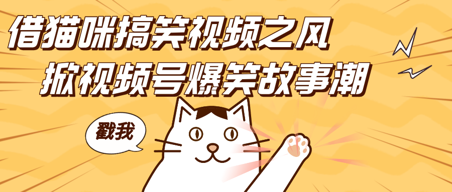 借猫咪搞笑视频之风，掀视频号爆笑故事潮，轻松日赚四位数，开启无门槛赚钱新体验！-盈途副业网