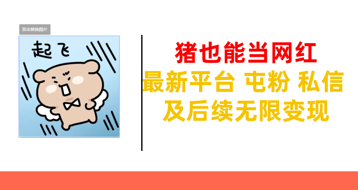 猪也能当网红-最新平台 屯粉 交流 私信 及后续无限变现-盈途副业网
