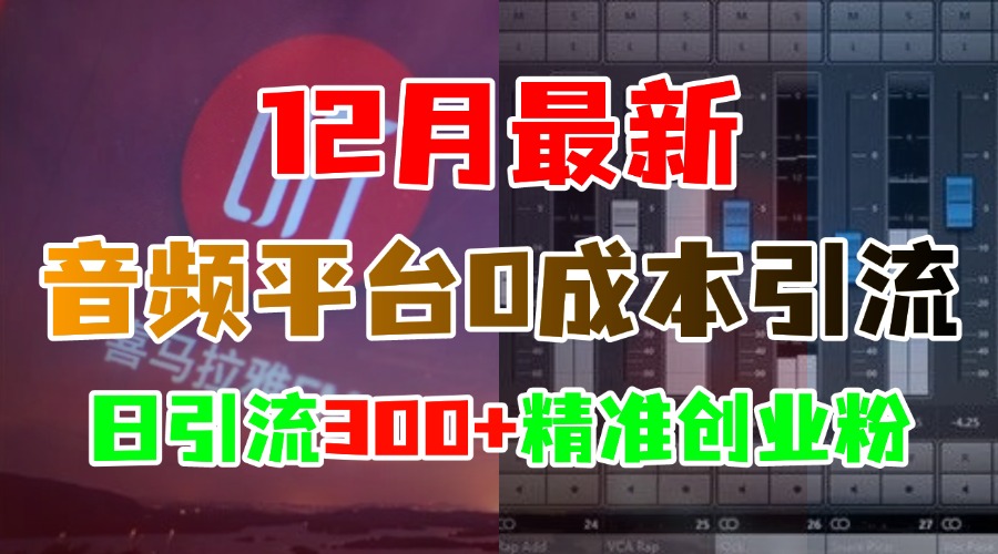 12月最新：音频平台0成本引流，日引300+精准创业粉-盈途副业网