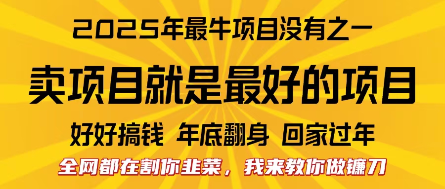 全网都在割你韭菜，我来教你做镰刀。卖项目就是最好的项目，2025年最牛互联网项目-盈途副业网