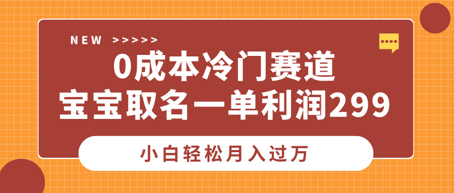 0成本冷门赛道，宝宝取名一单利润299，小白轻松月入过万-盈途副业网