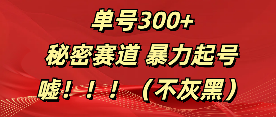 单号300+  秘密赛道 暴力起号  （不灰黑）-盈途副业网