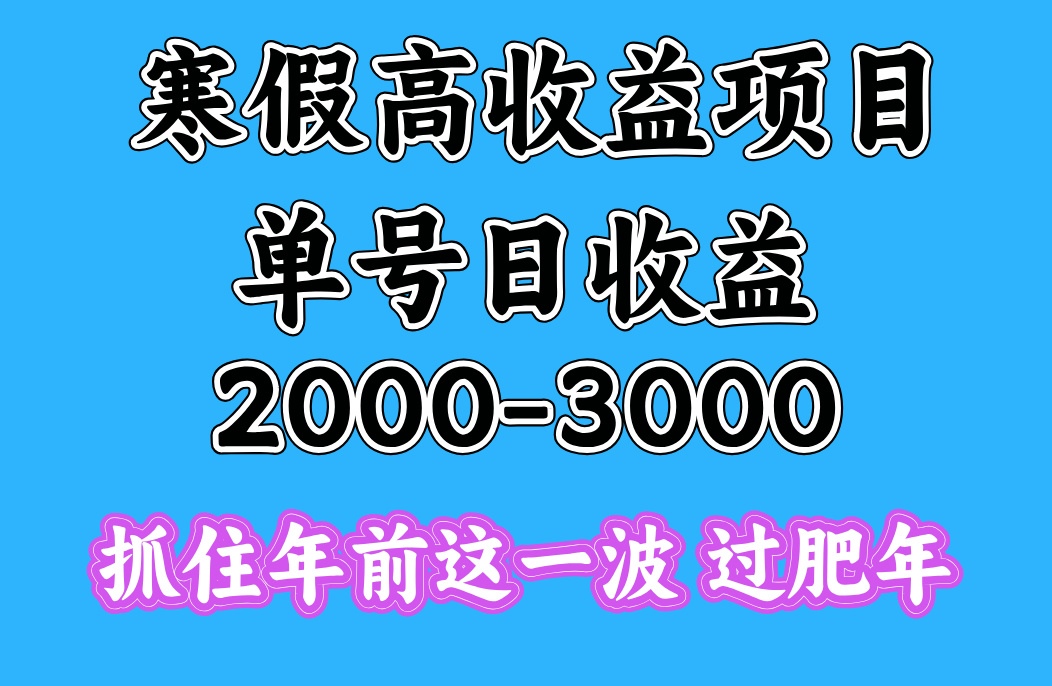 寒假期间一天收益2000-3000+，抓住年前这一波-盈途副业网