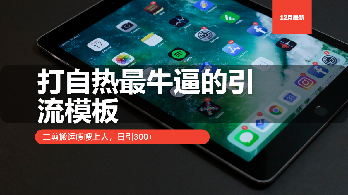 打自热最牛逼的引流模板，日引300+，二剪搬运嗖嗖上人-盈途副业网