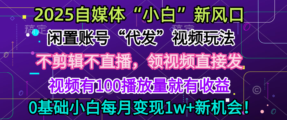 2025每月躺赚5w+新机会，闲置视频账号一键代发玩法，0粉不实名不剪辑，领了视频直接发，0基础小白也能日入300+-盈途副业网