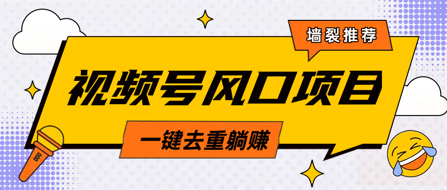 视频号风口蓝海项目，中老年人的流量密码，简单无脑，一键去重，轻松月入过万-盈途副业网