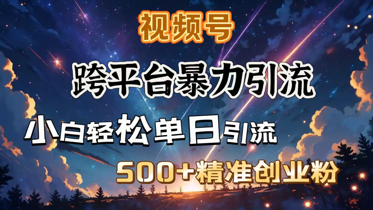 视频号跨平台暴力引流，小白轻松单日引流500＋精准创业粉-盈途副业网