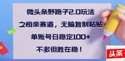 全网首发微头条野路子2.0玩法之相亲赛道，无脑搬砖复制粘贴，单账号日稳定300+保姆级教程-盈途副业网