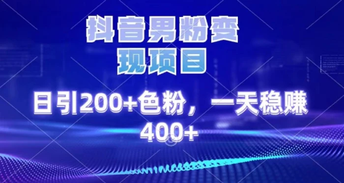 2025最新男粉项目 日引200 轻松月入2w+-盈途副业网
