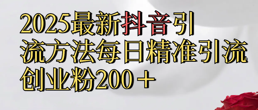 2025最新,抖音引流,方法每日精准引流创业粉300＋-盈途副业网
