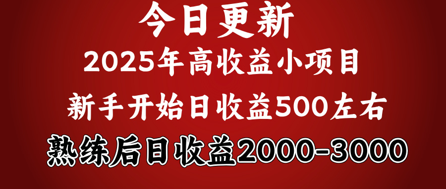 2025开年好项目，新手日收益500+ 熟练掌握后，日收益平均2000多-盈途副业网