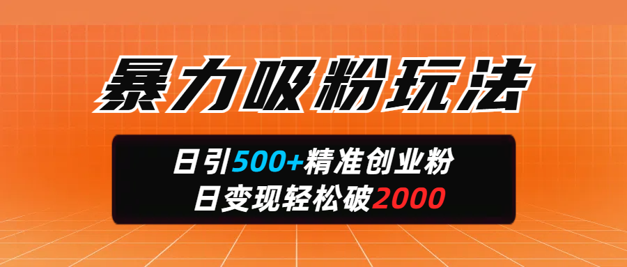 暴力吸粉玩法，日引500+精准创业粉，日变现轻松破2000-盈途副业网