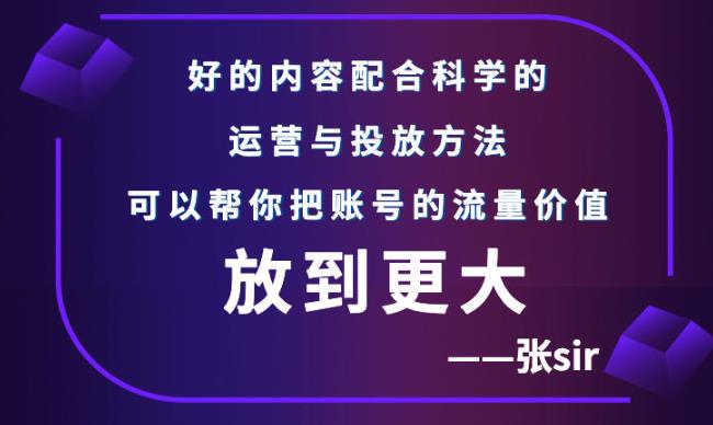 【副业项目3305期】（怎么投dou+快速涨粉）张sir账号流量增长课，让你的流量更精准-盈途副业网