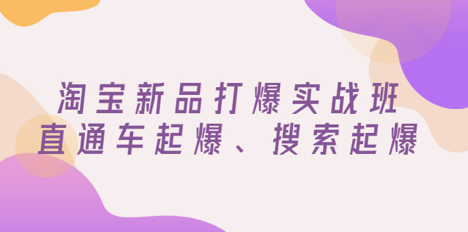 【副业项目3372期】淘宝新品打爆实战班（淘宝店铺如何增加流量和访客）-盈途副业网