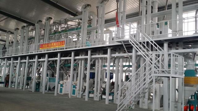 五十吨玉米深加工项目赚钱吗？小型玉米深加工项目有哪些？-盈途副业网