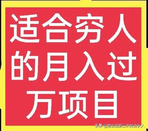 适合农村人做的赚钱项目（在农村做什么项目好）-盈途副业网
