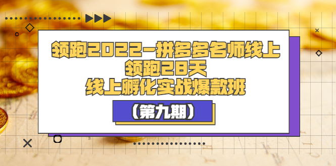 【副业项目3821期】拼多多名师线上领跑28天，拼多多线上孵化实操爆款班（第九期）-盈途副业网