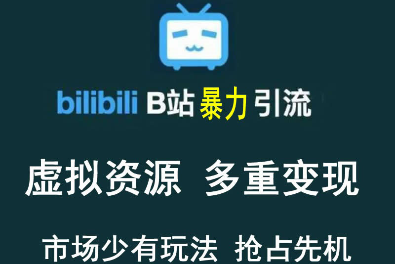 【副业项目3871期】虚拟资源引流方案：B站暴力引流 ，多重变现法-盈途副业网