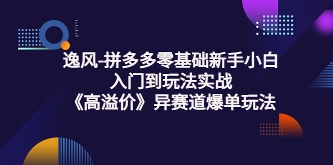 【副业项目3877期】逸风-拼多多新手小白入门到玩法实战，异赛道爆单玩法实操课-盈途副业网