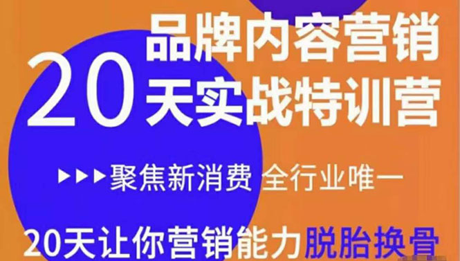 【副业项目3899期】《内容营销实操特训营》20天让你营销能力脱胎换骨（价值3999）-盈途副业网