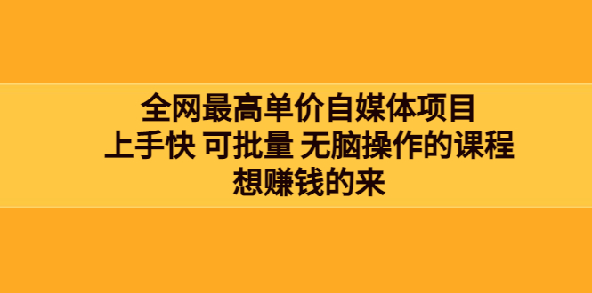 【副业项目3976期】全网最单高价自媒体项目：上手快 可批量 无脑操作的课程，想赚钱的来-盈途副业网