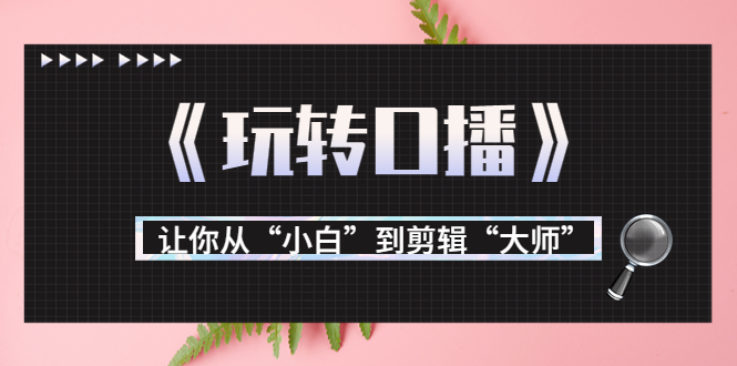 【副业项目3987期】月营业额700万+大佬教您《玩转口播》让你从“小白”到剪辑“大师”-盈途副业网