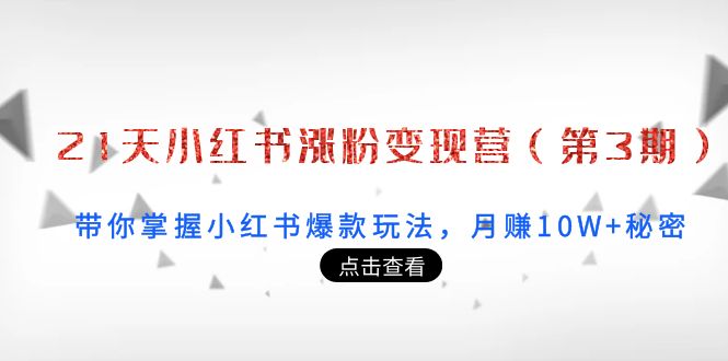 【副业项目4158期】21天小红书涨粉变现营（第3期）：带你掌握小红书爆款玩法，月赚10W+秘密-盈途副业网