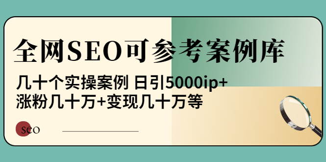 【副业项目4188期】《全网SEO可参考案例库》几十个实操案例 日引5000ip+涨粉百W+变现几十W等-盈途副业网